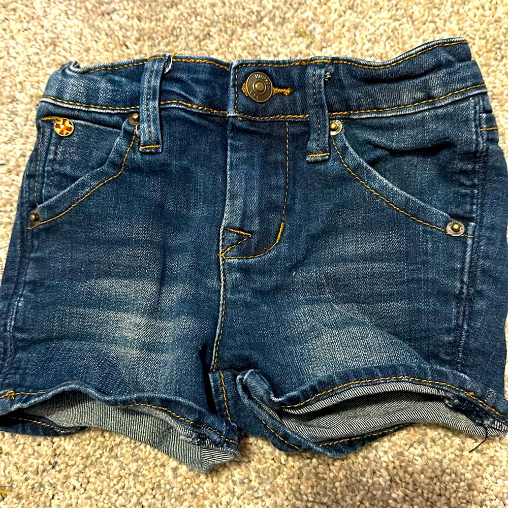 Hudson Jean shorts